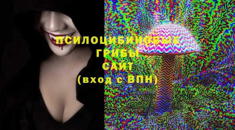 Псилоцибиновые грибы Cubensis  сколько стоит  Новый Оскол 